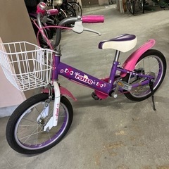 16インチ子供用自転車RAISE アルバニー