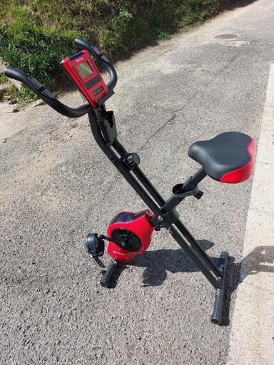 オリーブの木　ピクアル　10号　約180cm　NO.688　人気品種　現品掲載 オリーブの木 ピクアル 10号 約180cm NO.688 人気品種 現品掲載 オリーブの