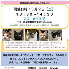 保護猫の譲渡会2024年3月