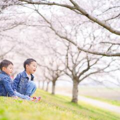 【残1】五感で自然を楽しむ！桜フォト撮影会