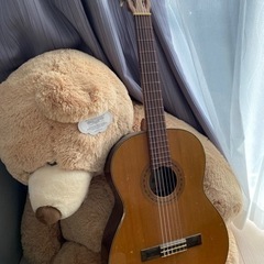 決まりました！ギター げん張り替え済み 熊はつきません！