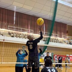 🏐ソフトバレーボール（６人制混成チーム）メンバー募集 - 筑後市