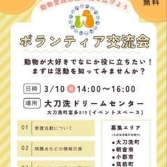 今週末！【犬猫】ボランティア交流会