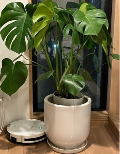 生活雑貨 家庭用品 ガーデニング