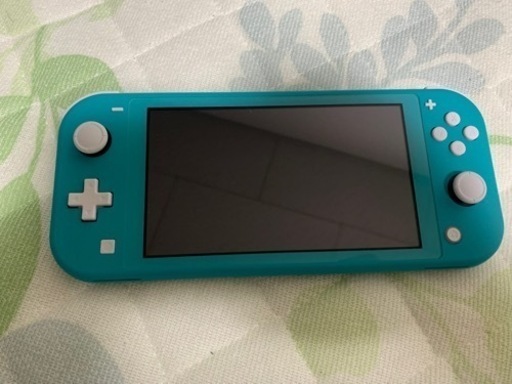 【美品箱付き】Nintendo Switch Lite バイオハザード付き　値下げ交渉あり