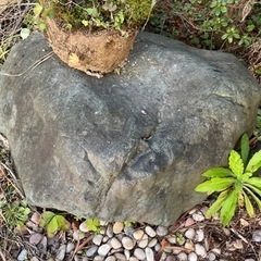 庭園の石