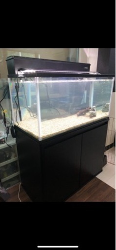 コトブキ　600mm 水槽　引き取り限定