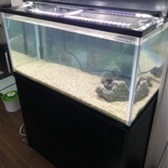 コトブキ　600mm 水槽　引き取り限定