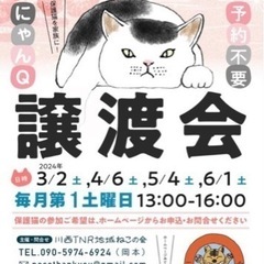 ３月２日猫譲渡会in池田市