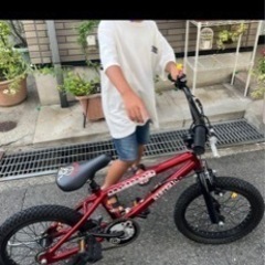 ヒスミニマウンテンバイク