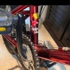 ヒスミニマウンテンバイク