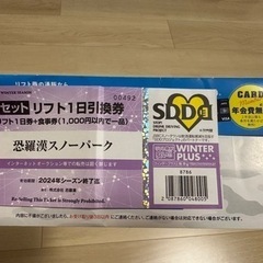 恐羅漢スノーパーク　リフト1日引換券+食事券