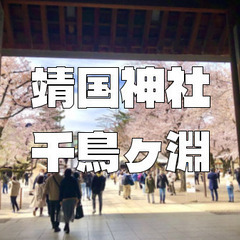 桜の名所。靖国神社と千鳥ヶ淵をお散歩します♪