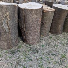 値下げ【広葉樹MIX】軽トラック2台分！