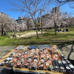 総勢５４０めい🎵2024年大阪 天満 桜ノ宮 お花見 ピクニック