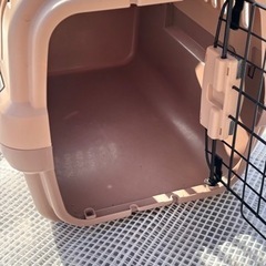 ペッツルートピンクゲージ4個セット