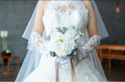 ウェディングドレス　Aライン　プロノビアス　DRISARA／36 ウェディングドレス Aライン プロノビアス DRISARA／36 ウェディング