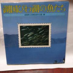 びわ湖の魚たち 滋賀県  古本