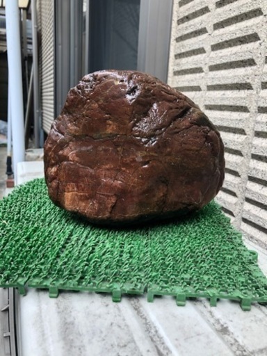 人面石　自然石　赤石　盆栽石　箱庭　石庭　園芸　植木