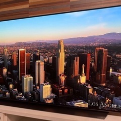 【ネット決済】4K有機EL LG OLED 55CXPJA