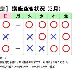 【平日残り４枠！】大手塾講師歴20年！中学受験のプロによるオンライン指導！「受験リーダー」 - 受験