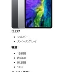 iPad Pro 11インチ 第二世代 Wi-Fiモデル 256GB