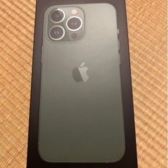 iphone13pro アルパイングリーン　Apple Care...