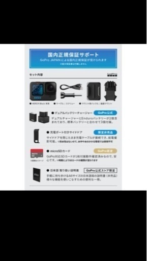 GoPro 11 Black  チャージャー エンデューロバッテリーセット