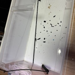 120cm アクリル水槽 早期引取りでヒーターと蓋をお得な値段にします！