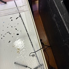 120cm アクリル水槽 早期引取りでヒーターと蓋をお得な値段にします！