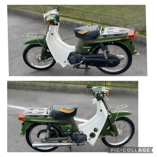 バーディー50