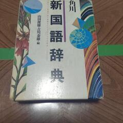 【無料】古い国語辞典です。学生さんや塾で使いますか？