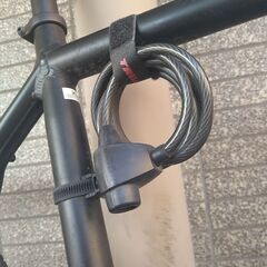 TREK クロスバイク　身長185cmから195cm用