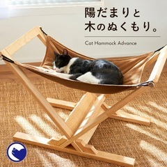 猫ハンモックや椅子、猫用生フードなどまとめて