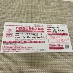 3/3(日) ソフトバンクホークス対斗山ベアーズ（韓国）外野自由...