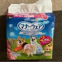 犬用オムツ