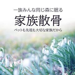 【茨城県の方必見！！】費用をかけずに墓じまいと散骨の方法教えます！！ - 地元のお店