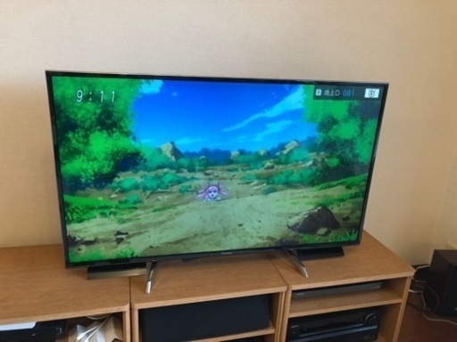 テレビPanasonic VIERA (ジャンク)