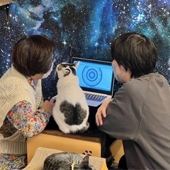 3/22阿佐ヶ谷の保護猫カフェで占い！手相➕タロット占いの画像