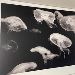IKEA イケア　大判アートパネル　絵　飾り　写真