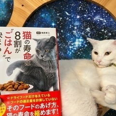 4/27猫の長生きのために 「ネコのごはん講座」@阿佐ヶ谷の保護...