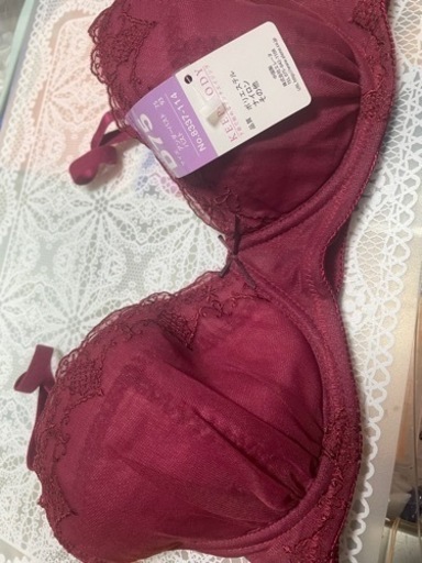 女性用下着D75