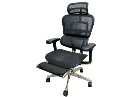新品未使用エルゴヒューマンプロ2