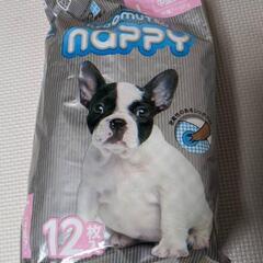 billjac ドッグフード senior select formula ほか