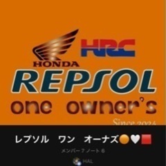 レプソル　ワン　オーナーズ　オプチャ　