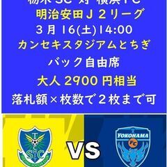 ■Ｊ２チケット3/16 栃木SC対横浜FC１枚のみ■バック自由席■ 