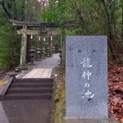 ドラゴンスピツアー − 大分県