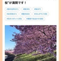 東岡崎駅近く早咲きの河津桜また見れますか？