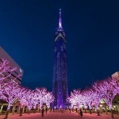 福岡タワー『桜まつり』催し物お知らせ & 観覧撮影募集‼️