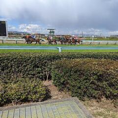 競馬ワイワイ楽しみませんか⁉️